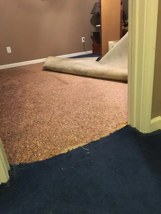 Carpet pad removal revealing water damage during Water Mitigation Services in The Crossings