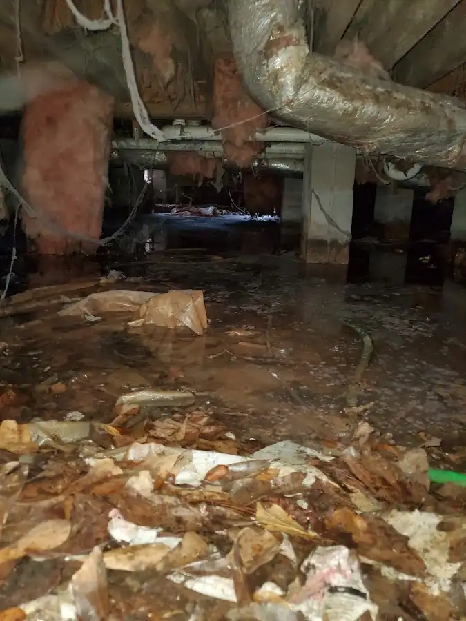 Crawl space flood assessment for Leak Detection & Repair in The Crossings