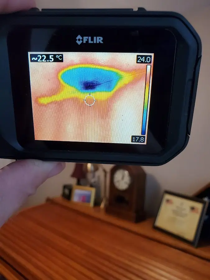 Thermal imaging inspection for water damage in The Crossings